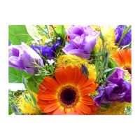 FELICITARE DMV 0044