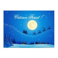 FELICITARE DMI 0039