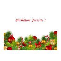 FELICITARE DMI 0045