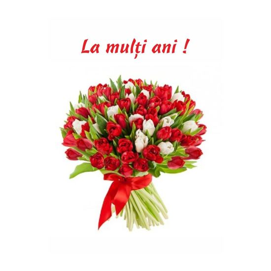 FELICITARE DMV 0073