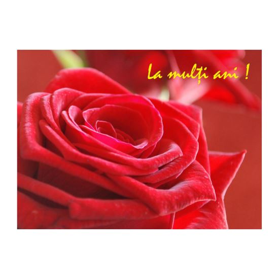 FELICITARE DMV 0040