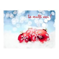 FELICITARE DMI 0069