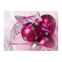 FELICITARE DMI 0105