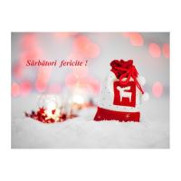 FELICITARE DMI 0088