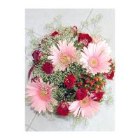 FELICITARE DMV 0029