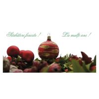 FELICITARE FLI 0004