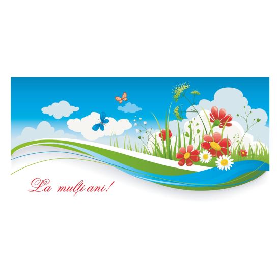 FELICITARE FLV 0031
