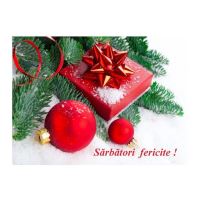 FELICITARE DMI 0037