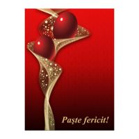 FELICITARE DMP 0055