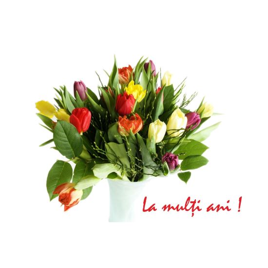 FELICITARE DMV 0043