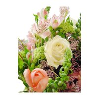 FELICITARE DMV 0058