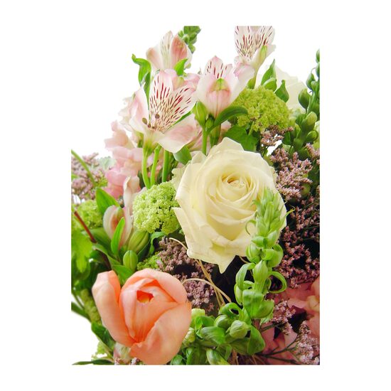 FELICITARE DMV 0058