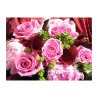 FELICITARE DMV 0031