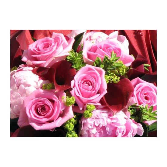 FELICITARE DMV 0031