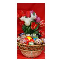 FELICITARE FLP 0004