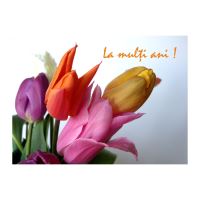 FELICITARE DMV 0033