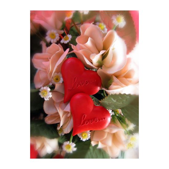 FELICITARE DMV 0025