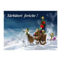 FELICITARE DMI 0012