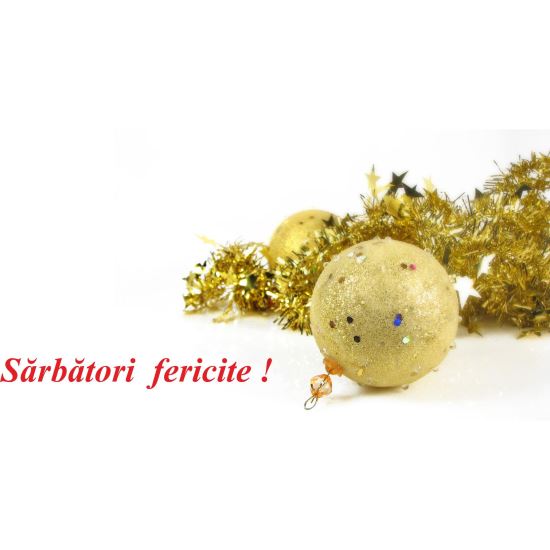 FELICITARE FLI 0002