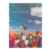 FELICITARE DMV 0091