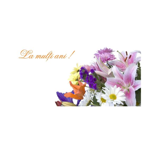 FELICITARE FLV 0024