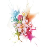 FELICITARE DMV 0062