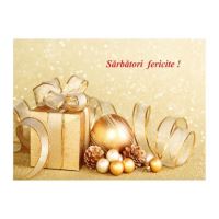 FELICITARE DMI 0086