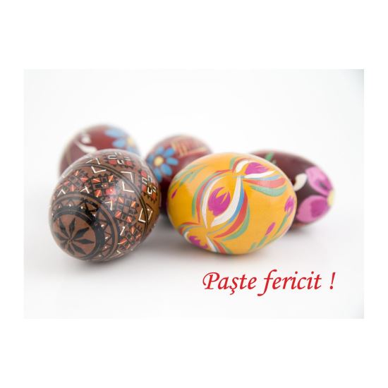 FELICITARE DMP 0064