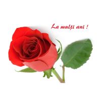 FELICITARE DMV 0059