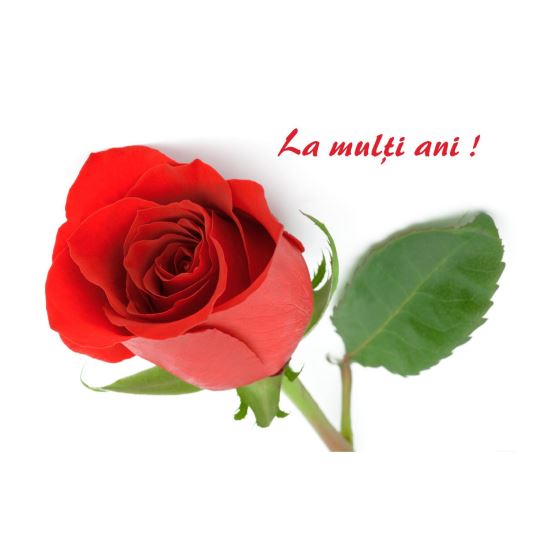 FELICITARE DMV 0059
