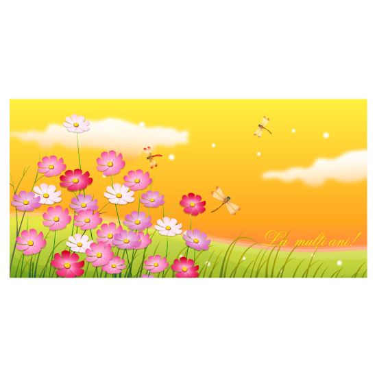 FELICITARE FLV 0037