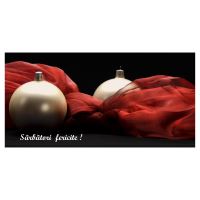 FELICITARE FLI 0010